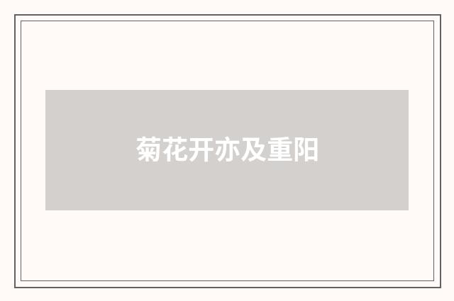 菊花开亦及重阳