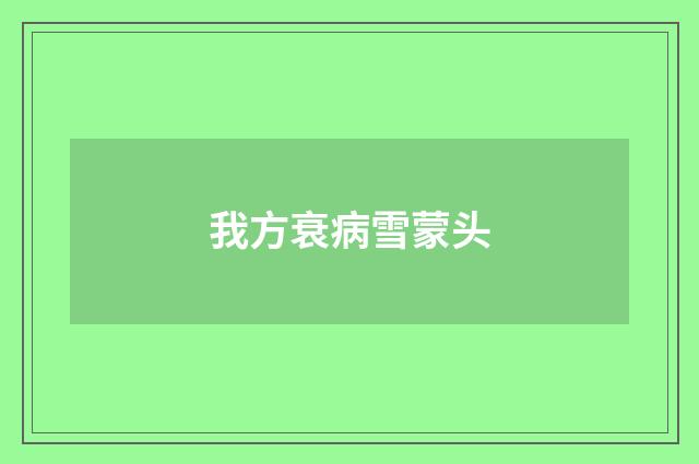 我方衰病雪蒙头
