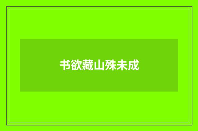 书欲藏山殊未成