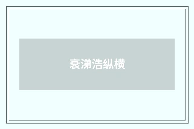 衰涕浩纵横