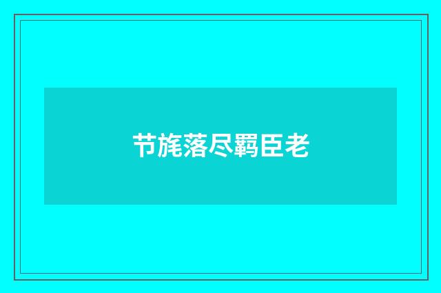 节旄落尽羁臣老