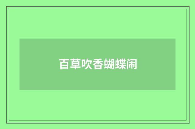 百草吹香蝴蝶闹