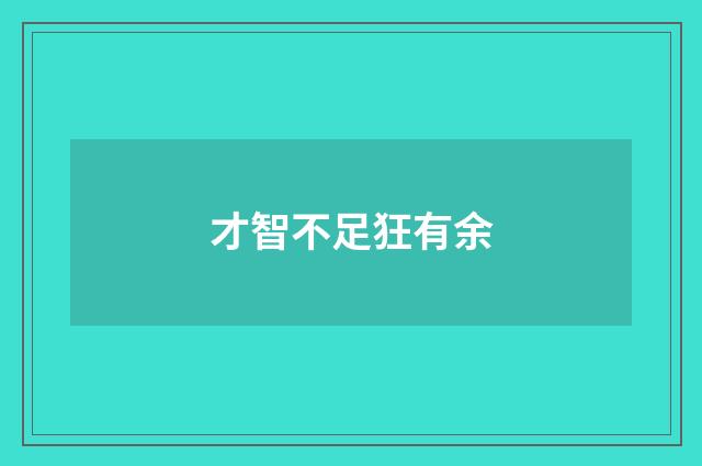 才智不足狂有余