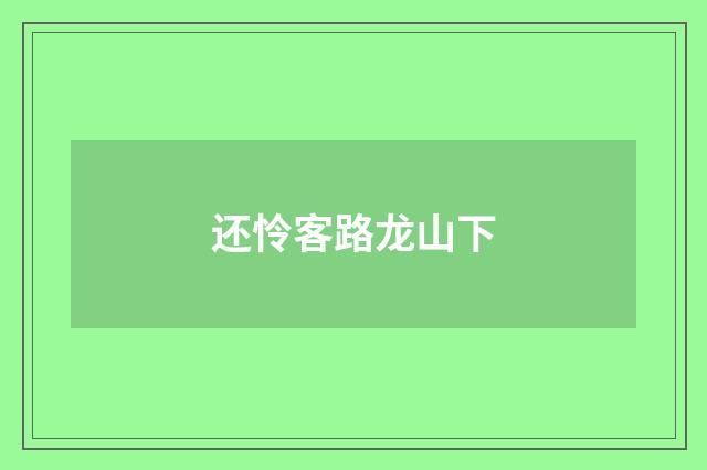 还怜客路龙山下