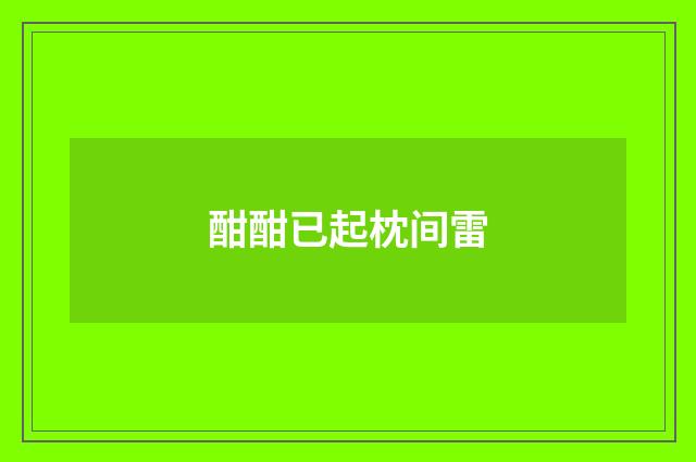 酣酣已起枕间雷
