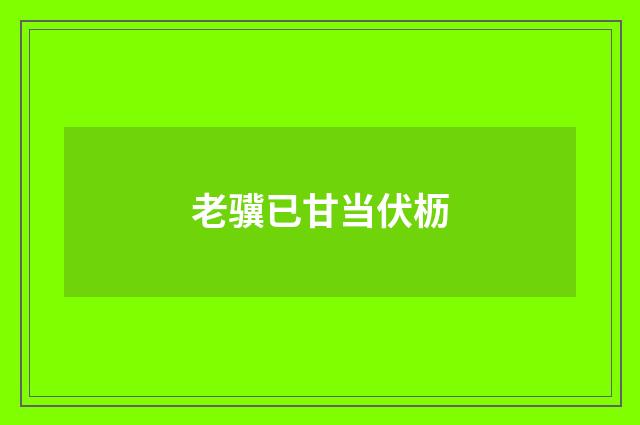 老骥已甘当伏枥