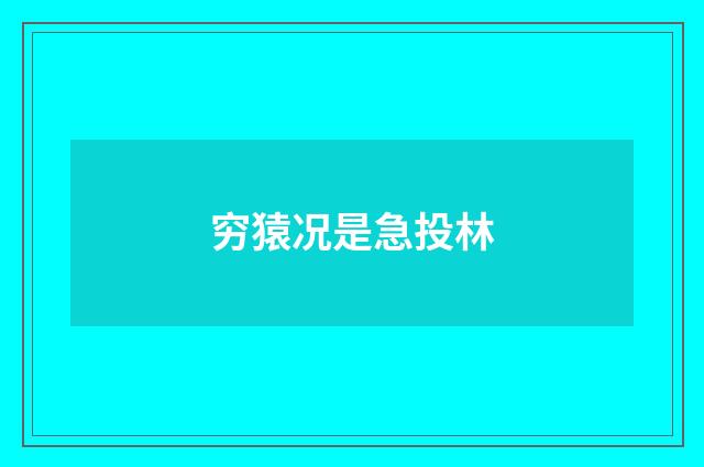 穷猿况是急投林