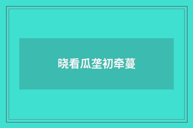 晓看瓜垄初牵蔓