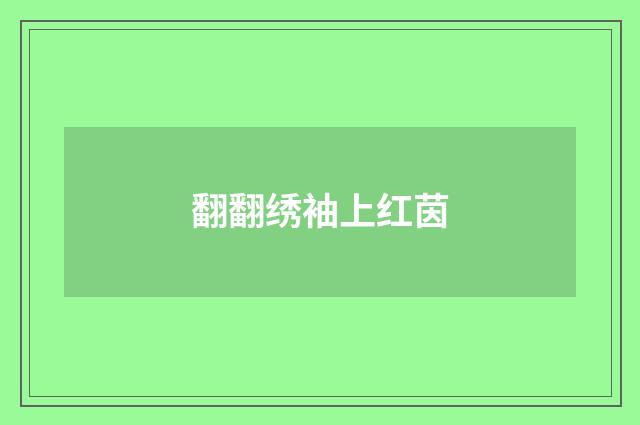 翻翻绣袖上红茵