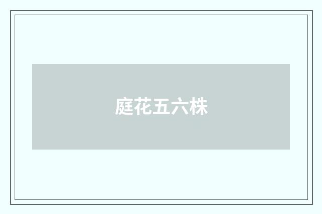 庭花五六株