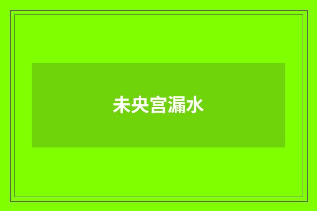 未央宫漏水