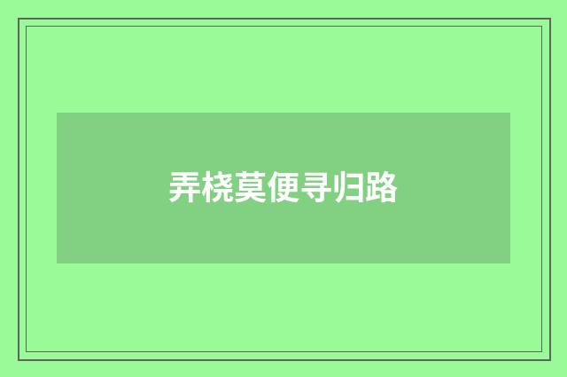 弄桡莫便寻归路