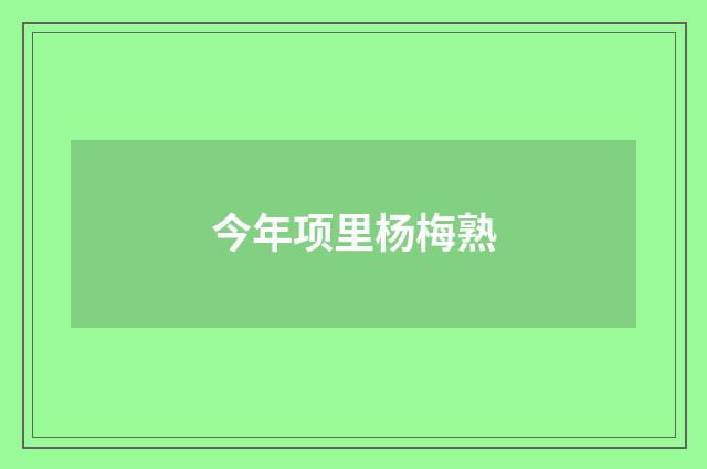 今年项里杨梅熟