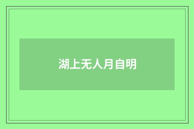 湖上无人月自明