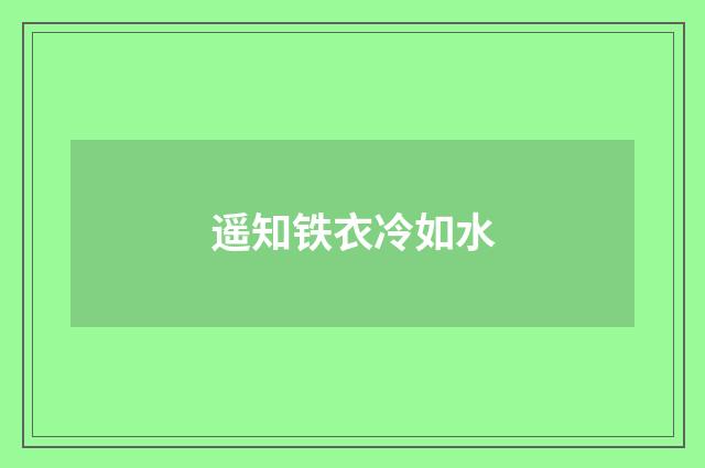 遥知铁衣冷如水
