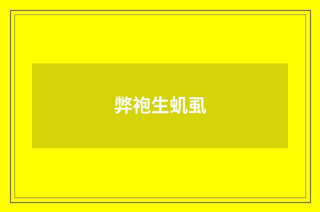 弊袍生虮虱