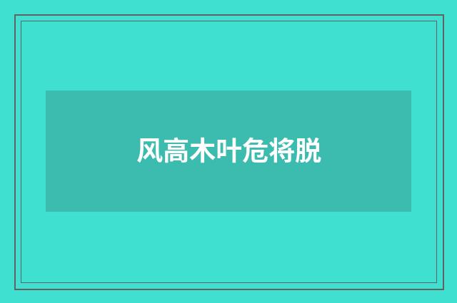 风高木叶危将脱
