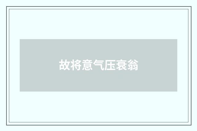 故将意气压衰翁
