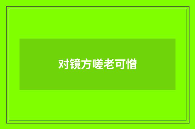 对镜方嗟老可憎