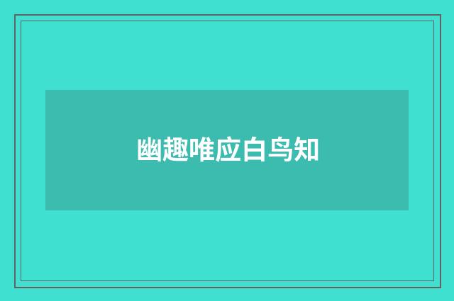 幽趣唯应白鸟知