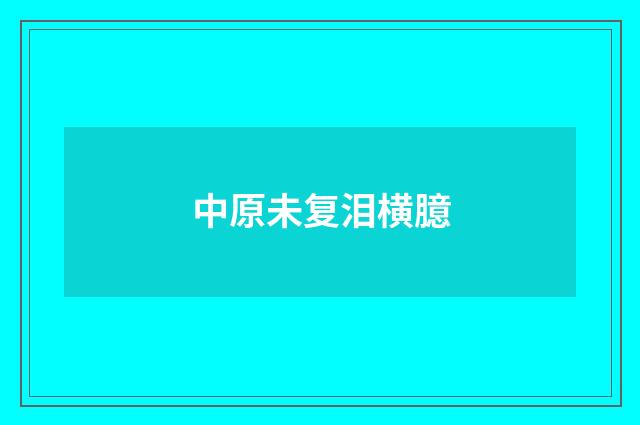 中原未复泪横臆
