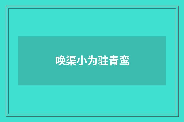 唤渠小为驻青鸾