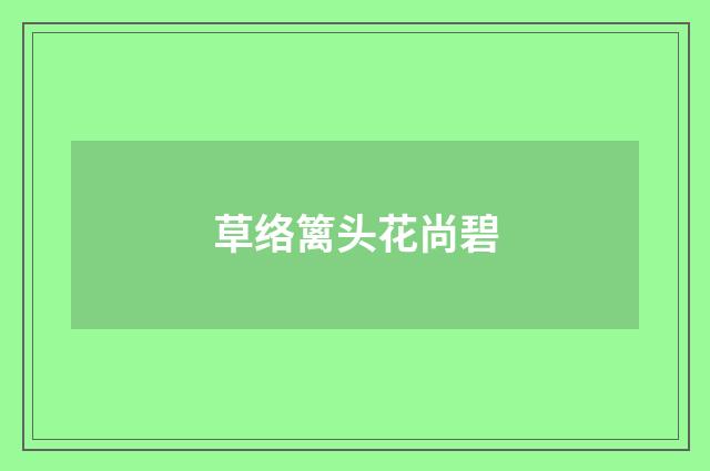 草络篱头花尚碧