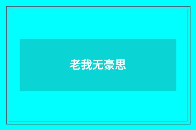 老我无豪思