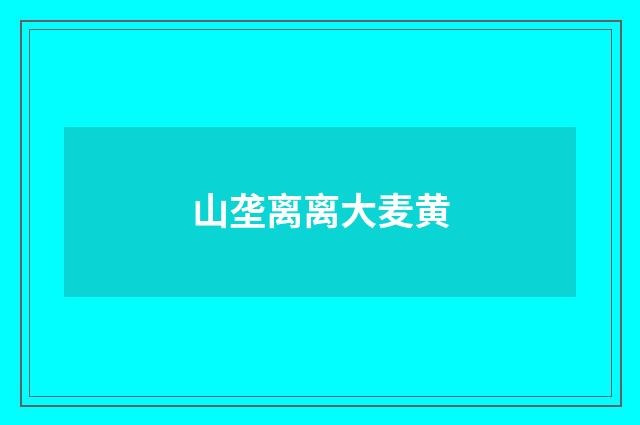 山垄离离大麦黄