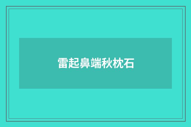 雷起鼻端秋枕石