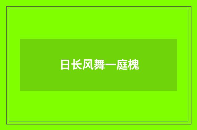日长风舞一庭槐