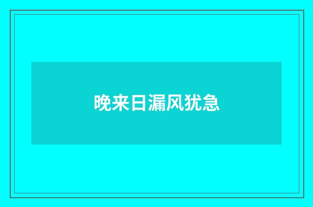 晚来日漏风犹急