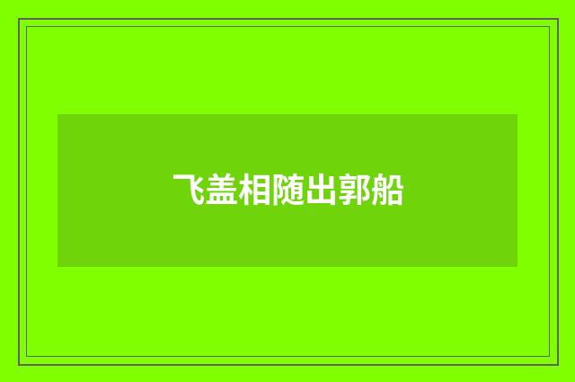 飞盖相随出郭船