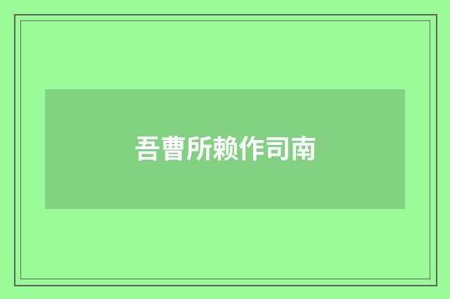 吾曹所赖作司南