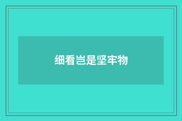 细看岂是坚牢物