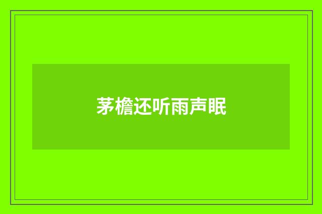 茅檐还听雨声眠
