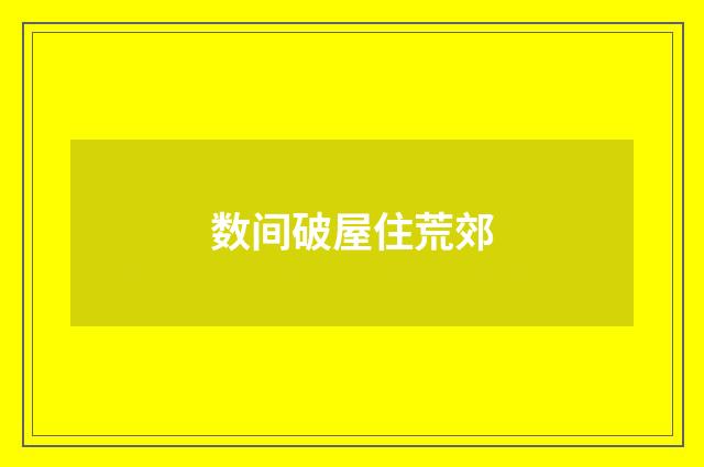 数间破屋住荒郊