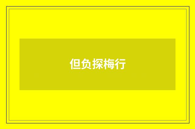 但负探梅行