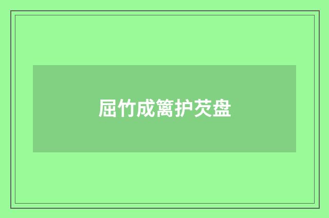 屈竹成篱护芡盘