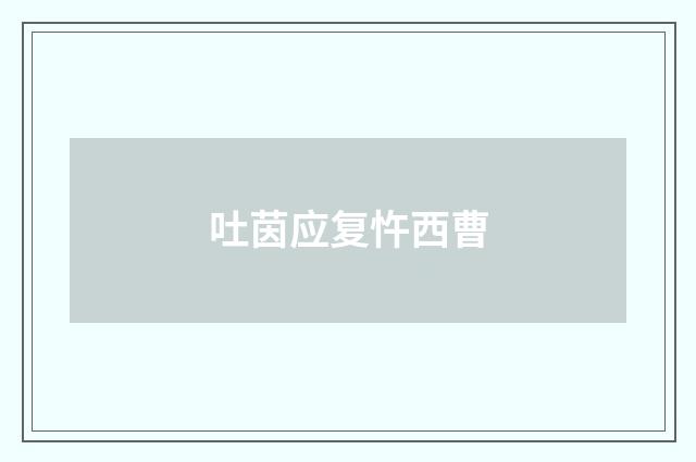 吐茵应复忤西曹