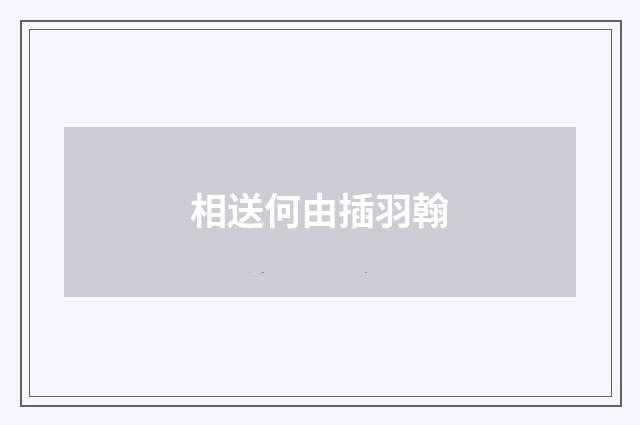 相送何由插羽翰