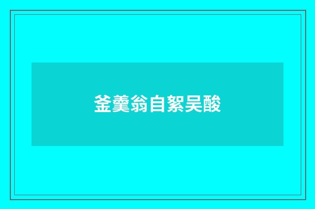 釜羹翁自絮吴酸