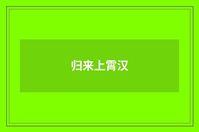 归来上霄汉