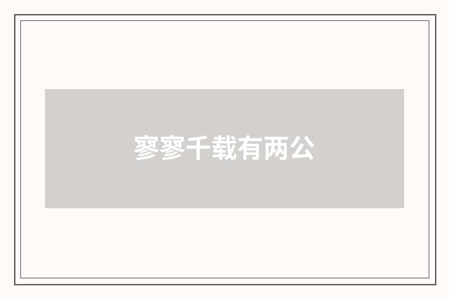 寥寥千载有两公