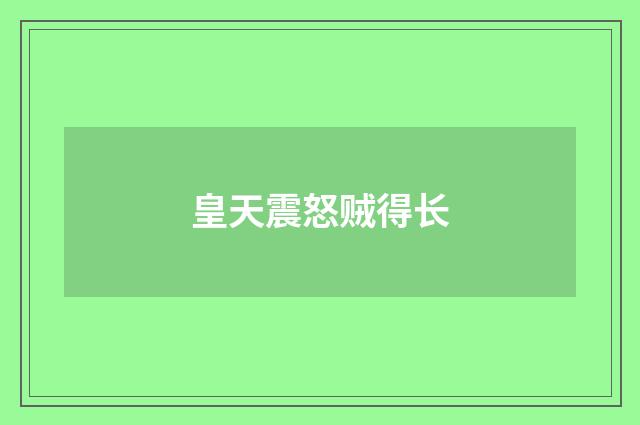 皇天震怒贼得长