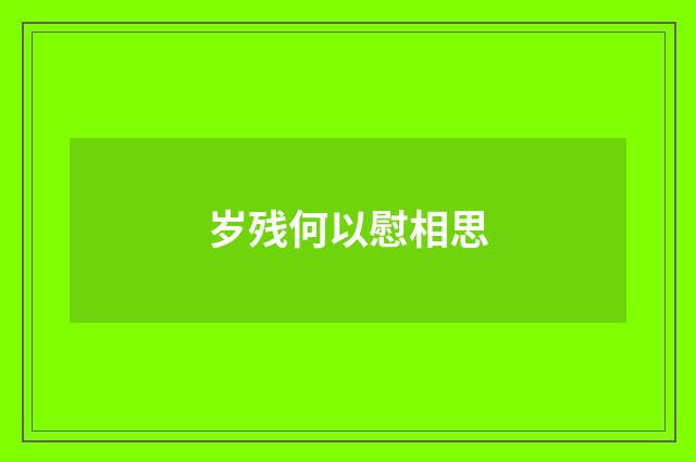 岁残何以慰相思