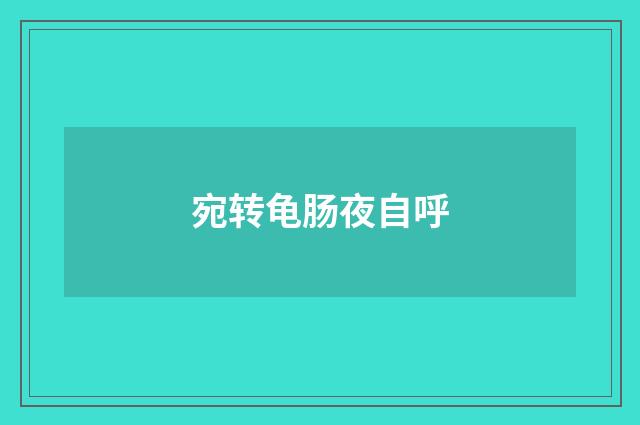 宛转龟肠夜自呼