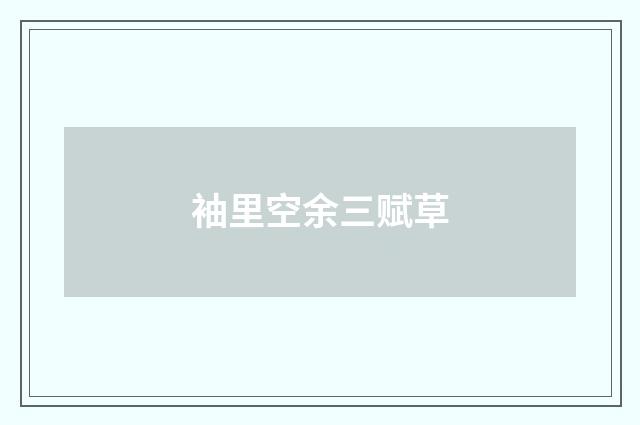 袖里空余三赋草