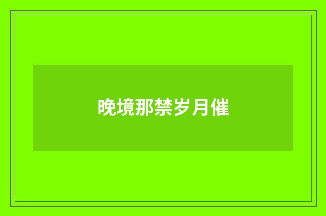 晚境那禁岁月催