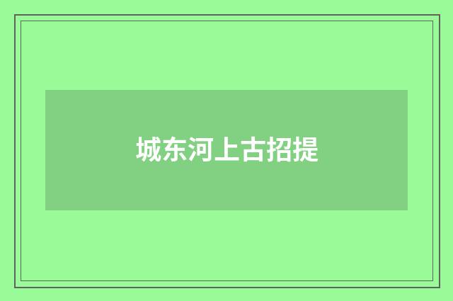 城东河上古招提